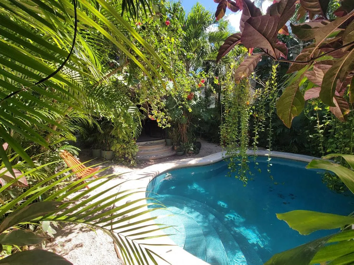 The Secret Garden Tulum Apartment
