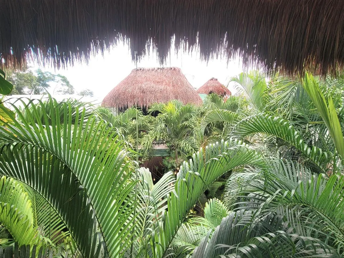 The Secret Garden Tulum 아파트
