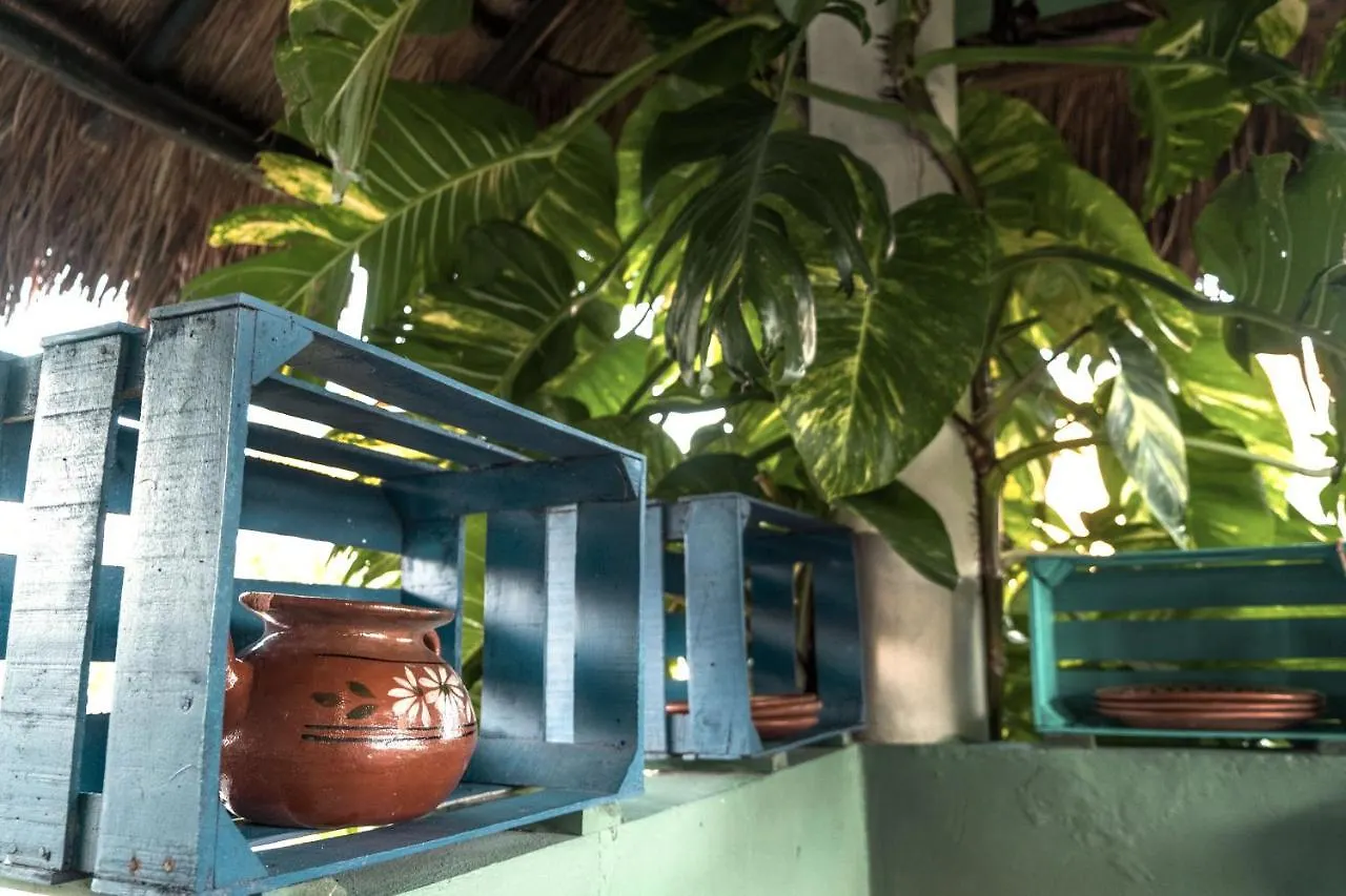 The Secret Garden Tulum Apartment 0*,