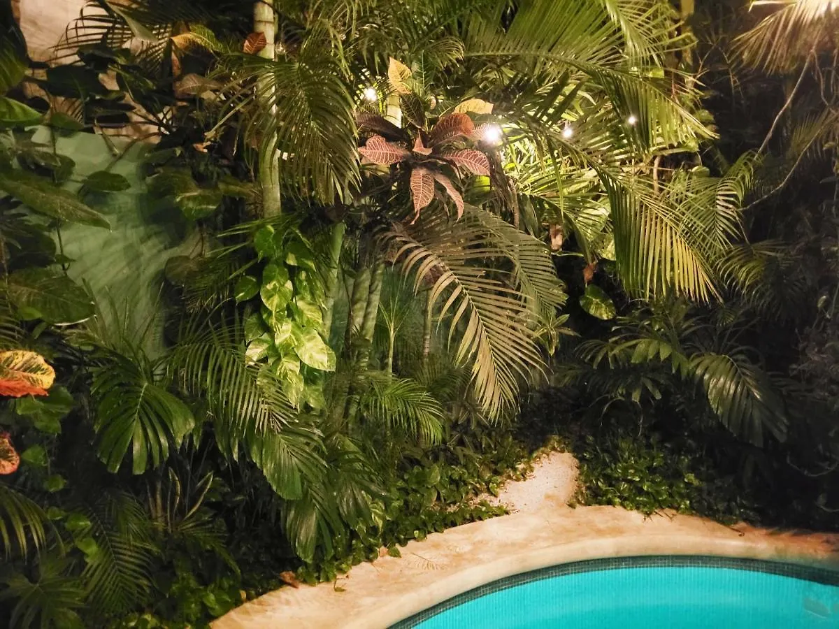 The Secret Garden Tulum Apartment