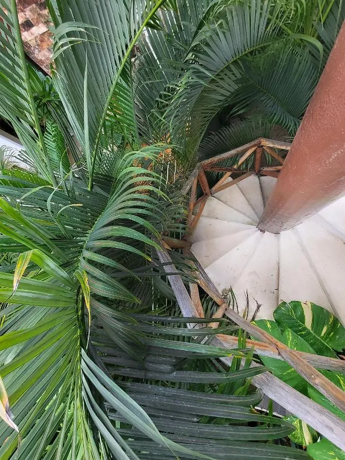 The Secret Garden Tulum Apartment Mexico