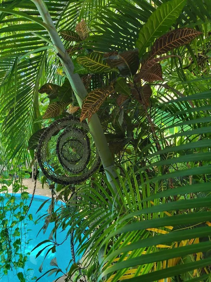 The Secret Garden Tulum 아파트