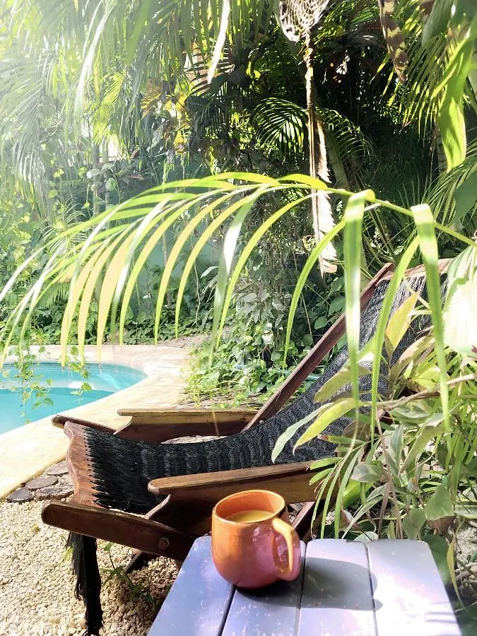 The Secret Garden Tulum Apartment 0*,
