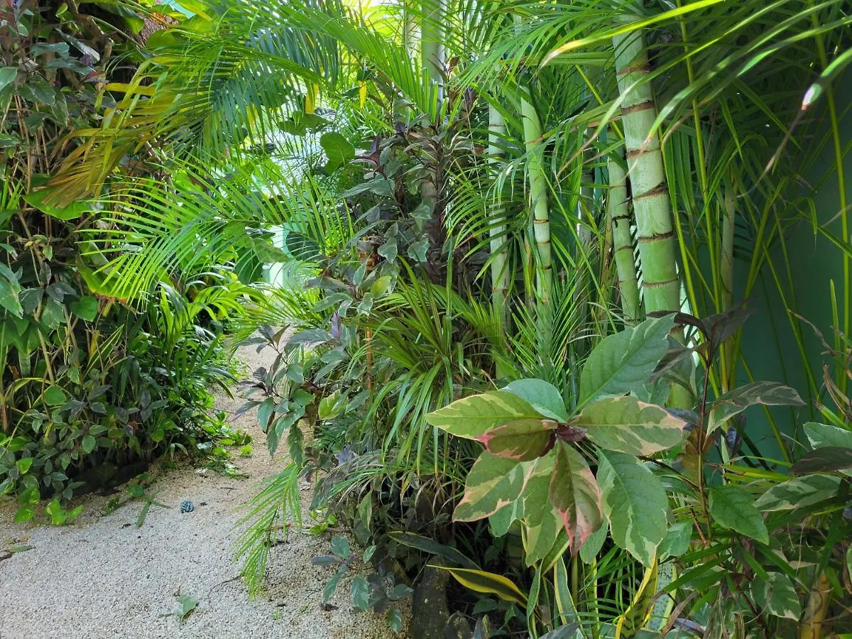 The Secret Garden Tulum 아파트