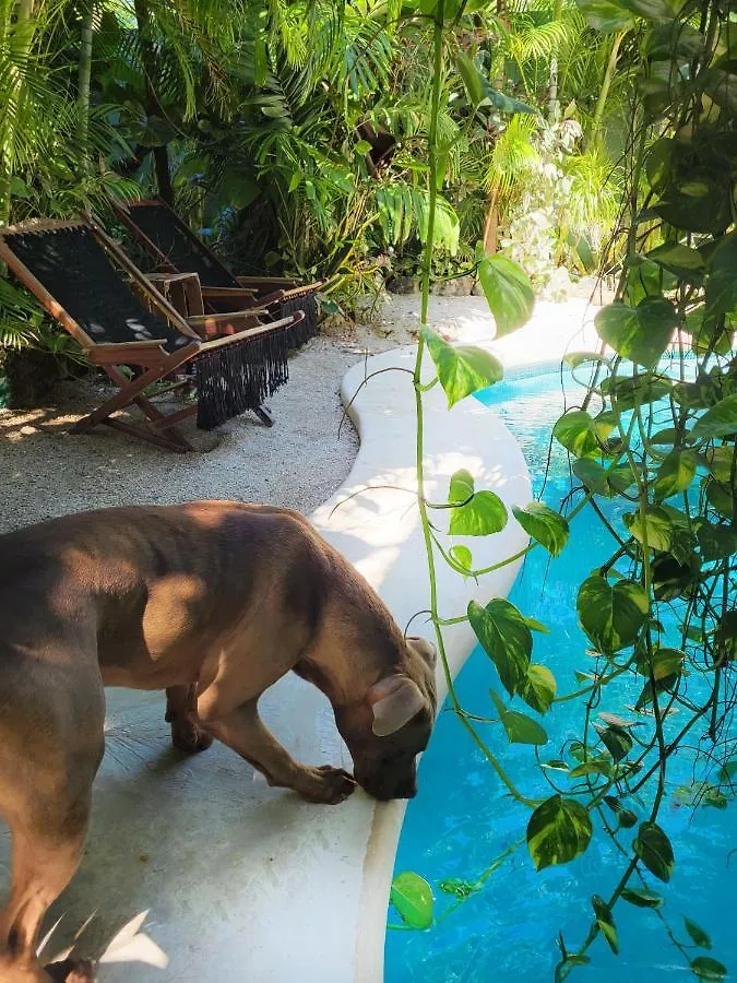 The Secret Garden Tulum 아파트