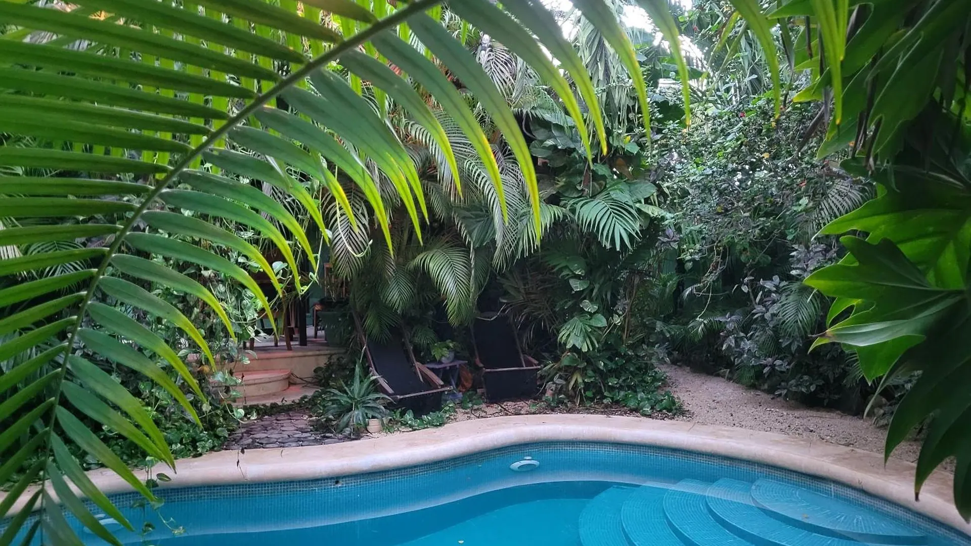 The Secret Garden Tulum Apartment 0*,