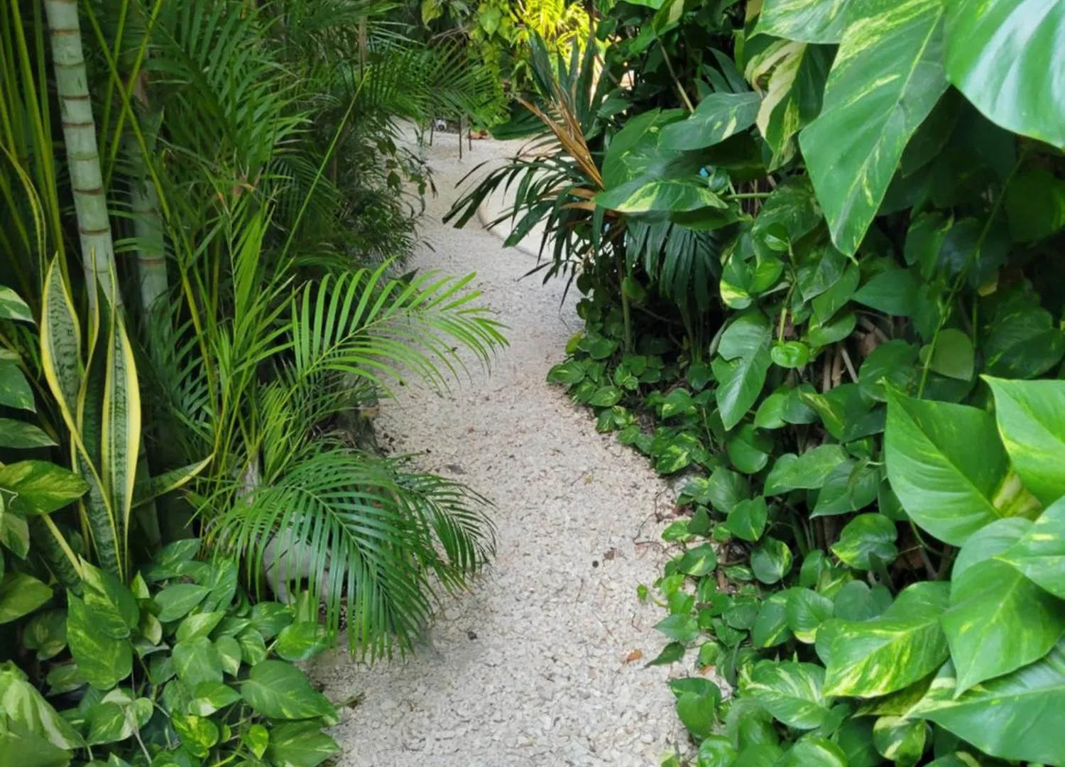 The Secret Garden Tulum Apartment 0*,  Mexico