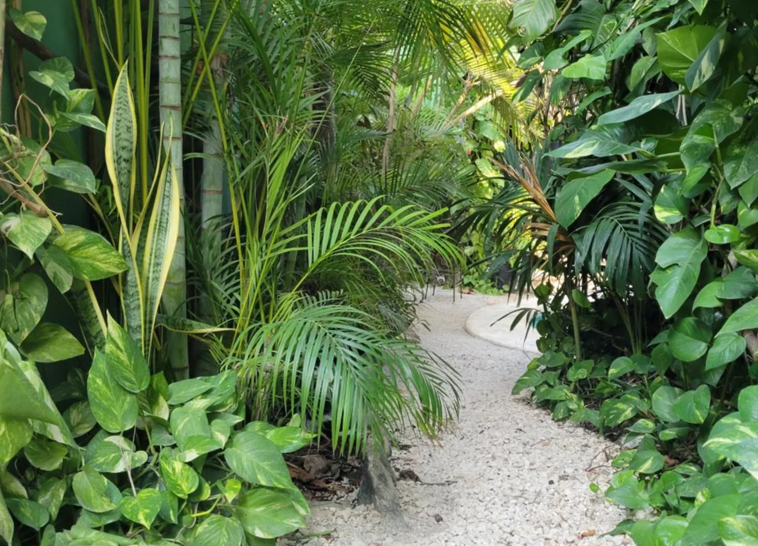 The Secret Garden Tulum Apartment Mexico