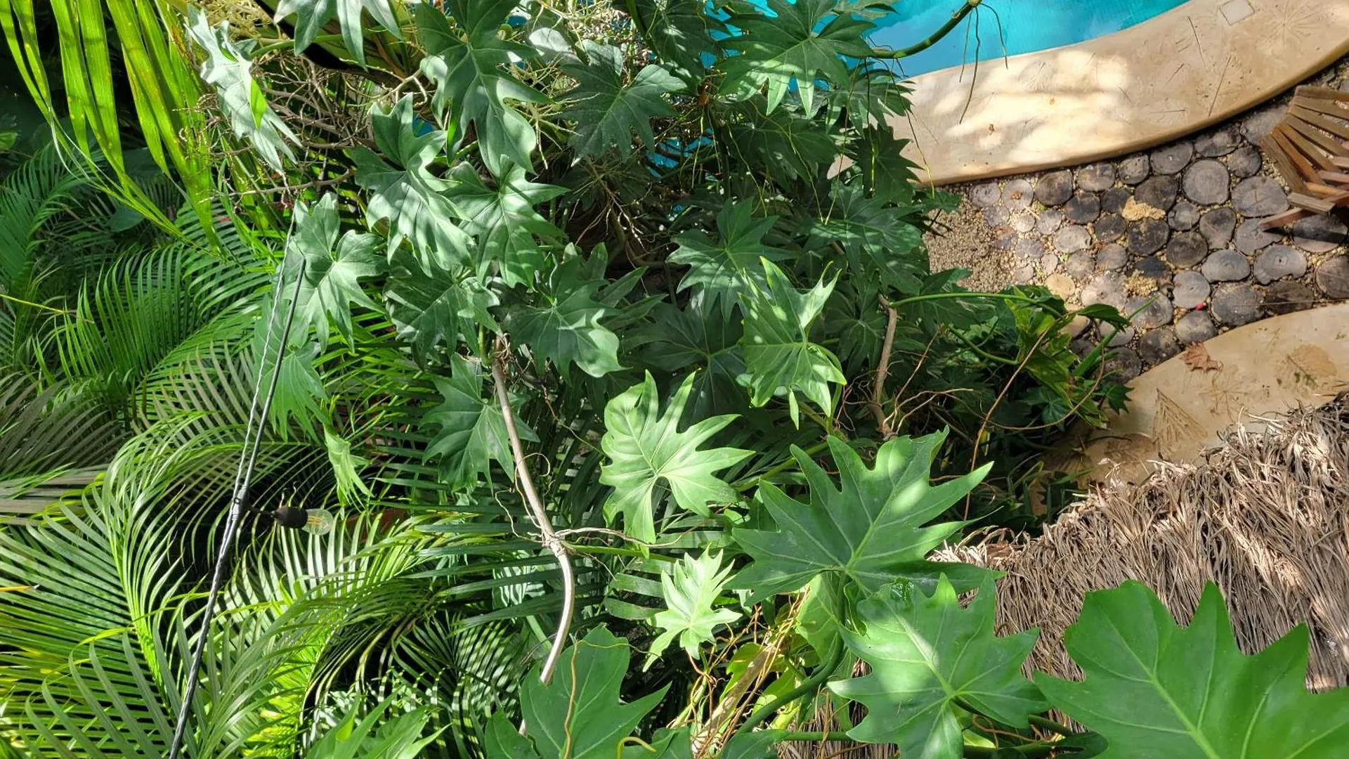 The Secret Garden Tulum Apartment Mexico
